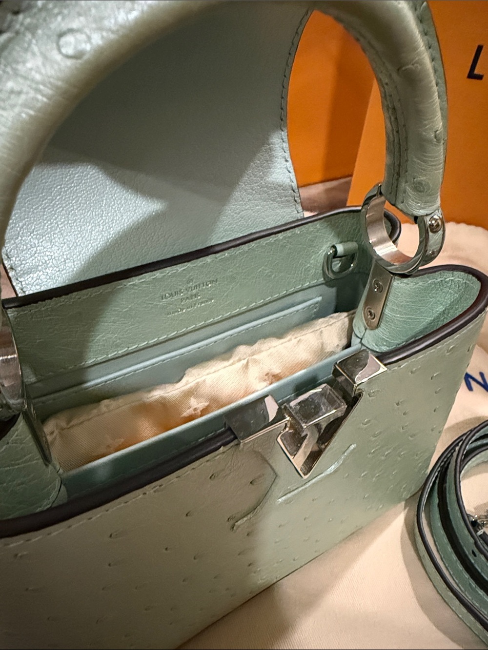 Louis Vuitton Capucines Mini Bag Exotic Ostrich in Mint Green - Picture 11 of 15